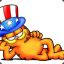 Garfield The Cat