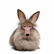 Stymaka avatar