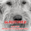 Gladstone21