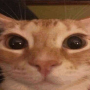 clawzee
