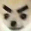 北街17岁天才少年