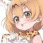 Leptailurus Serval