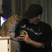 咸蛋黄派 鱼-享受浪漫