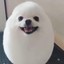 EggDog