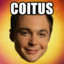 Coitus Cooper