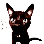 Sajduk - steam id 76561198198435807