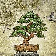 44 - steam id 76561199120521976