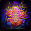shpongthan