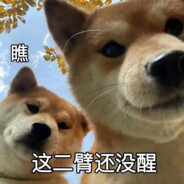 坐小孩那桌能够复现室温超导吗