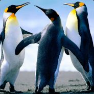sMaKK^^ - steam id 76561197961175966