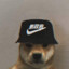 DOGNIKE