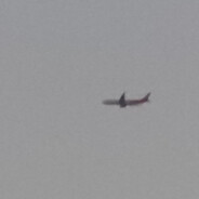 理塘最强猛虎王