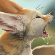 FENNEC
