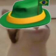 popcat_brazil2