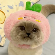 shyo