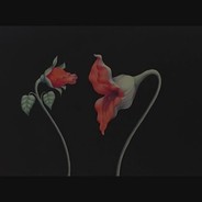 127的好朋友黄宇林