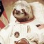 Slothstronaut1