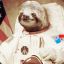 1st Sloth in space