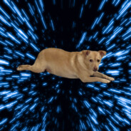 smarf