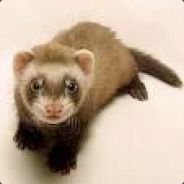 Eonir - steam id 76561197961391596