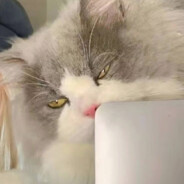 戒哥对你很失望