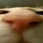 Gil