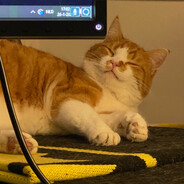 Cat Gamer - steam id 76561199068665893