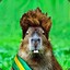 Dilma Capivara