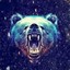 galactic_bear