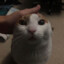 Artemka_4ever
