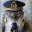 Captain Meow ✪