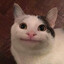 MrOrangeSK