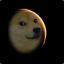 MoonDogeTom