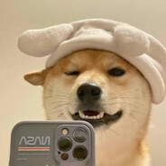 我吃饱了你别动