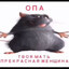 ГрузовойРомантик