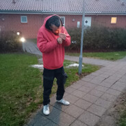 HamDenVarme