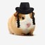 piggers piger