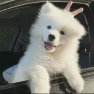 卖火柴的小女孩