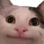 | UHC | R3kt