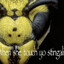 at least 4000 wasps
