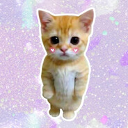 Baguette jambon beurre