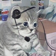 ｡ﾟ･シミー-ヤ･ﾟ｡