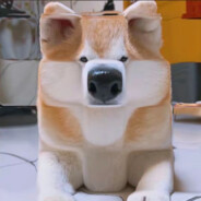 手和脚打架你会为脚打