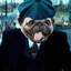 pUg0hol1k