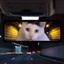 audi peek