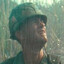 Stinging Rain