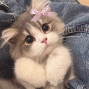 Пикми мурчалка 228