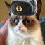 Soviet Grumpycat