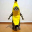 Banana Cat