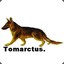 tomartus6